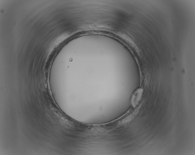 X0000077400974200611032022