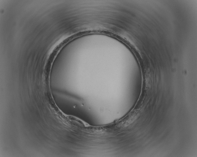 X0000077400975200611032022