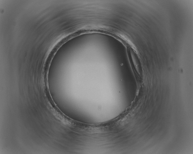 X0000077400976200611032022