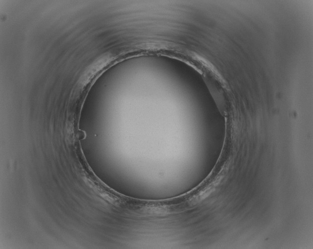 X0000077400977200611032022