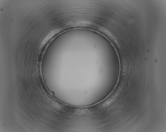 X0000077400978200611032022