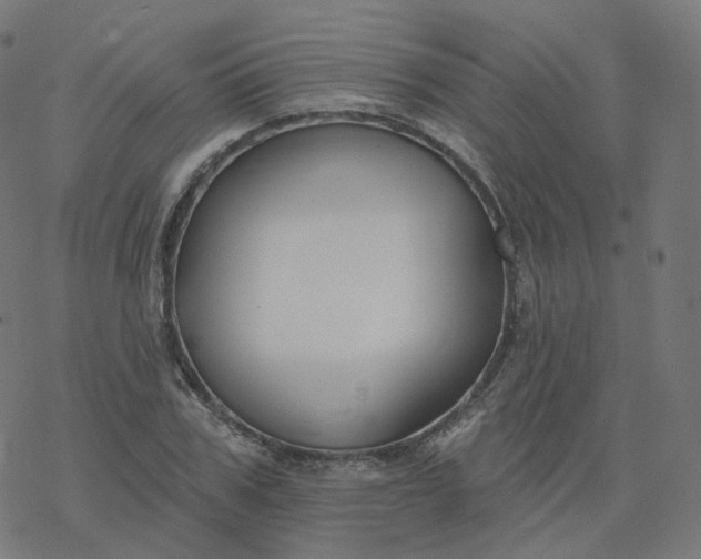 X0000077400979200611032022