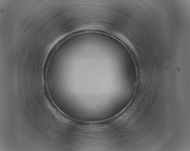 X0000077400980200611032022