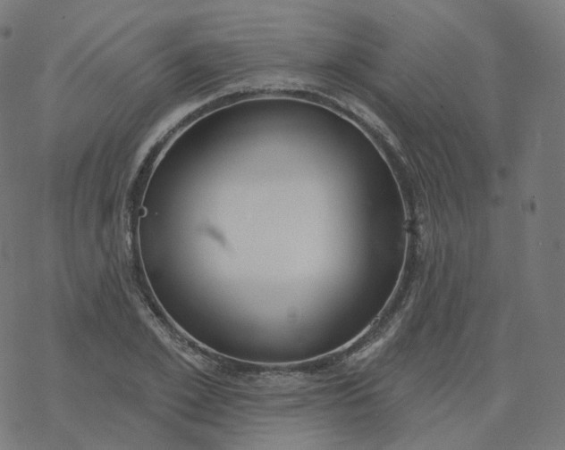 X0000077400981200611032022