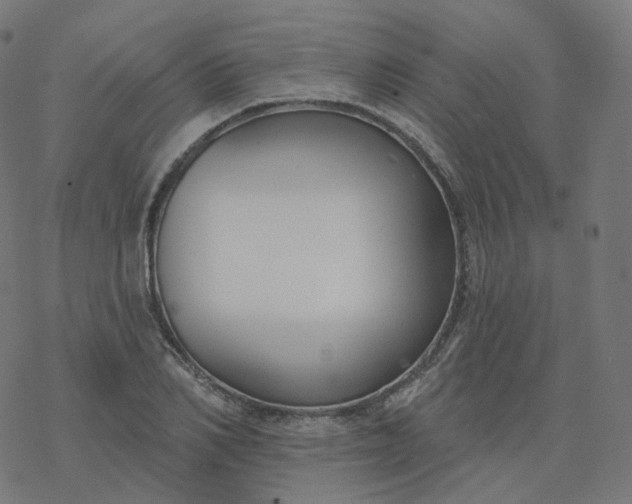 X0000077400982200611032022