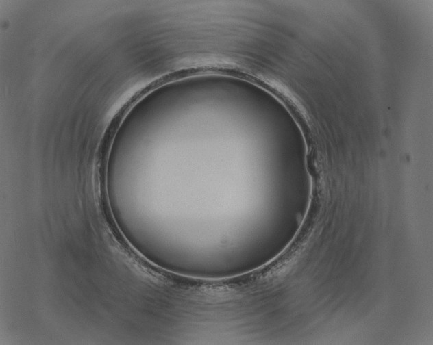 X0000077400983200611032022