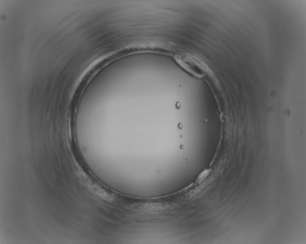 X0000077400984200611032022