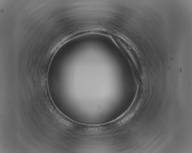 X0000077400985200611032022