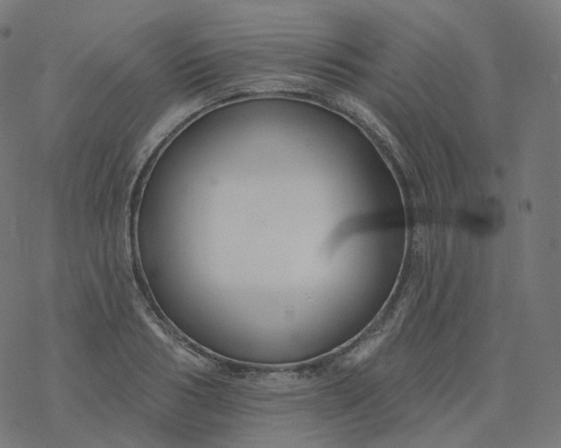 X0000077400986200611032022