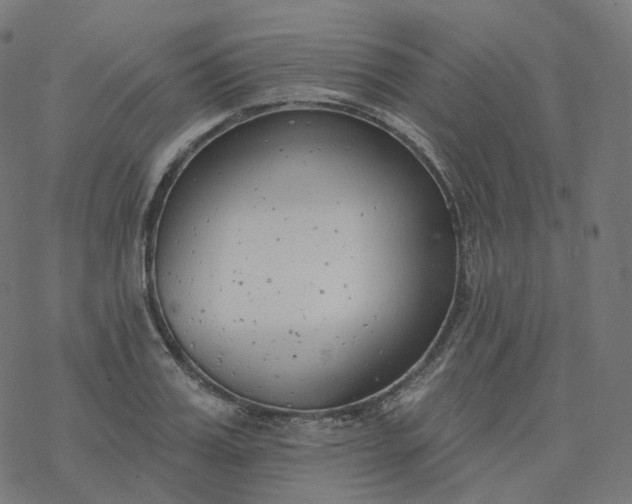 X0000077400987200611032022