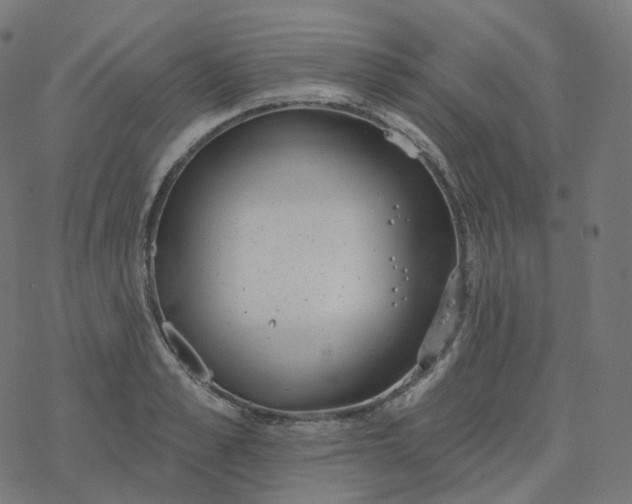 X0000077400989200611032022