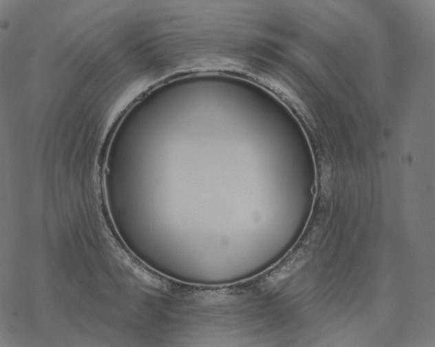 X0000077400990200611032022