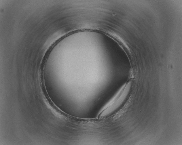 X0000077400991200611032022