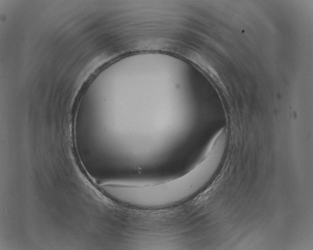 X0000077400992200611032022