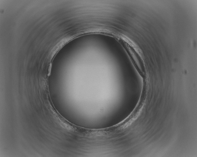 X0000077400993200611032022