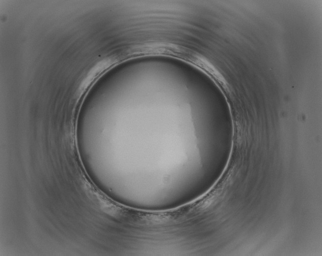 X0000077400994200611032022