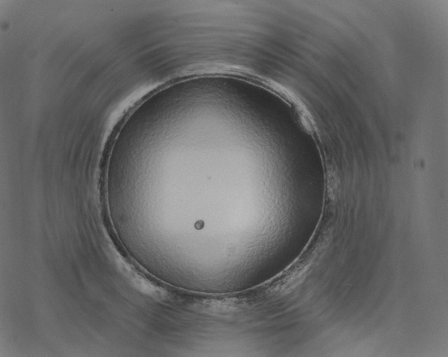 X0000077400995200611032022