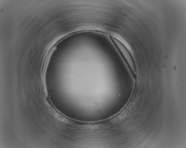 X0000077400996200611032022