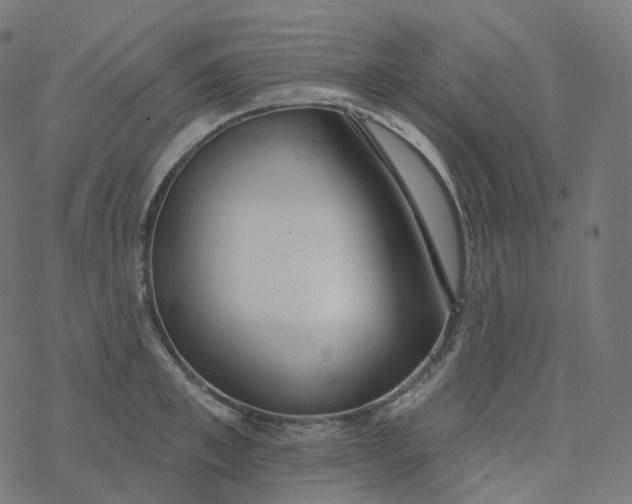 X0000077400997200611032022