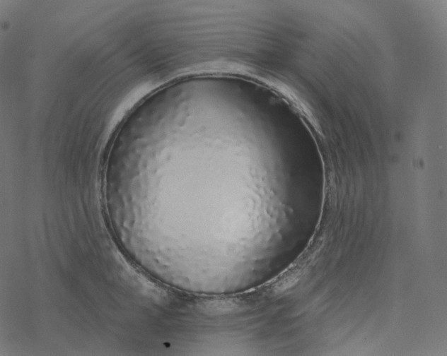 X0000077400998200611032022