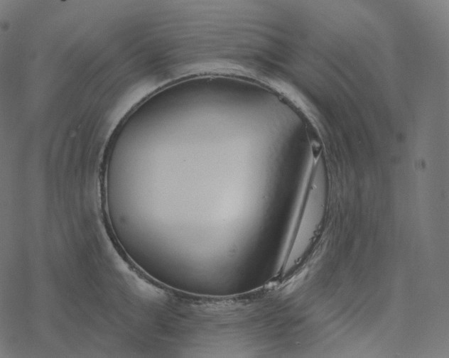 X0000077400999200611032022