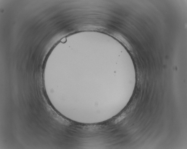 X0000077401000200611032022