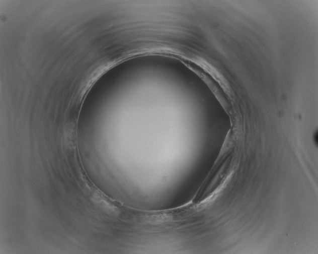 X0000077401001200611032022