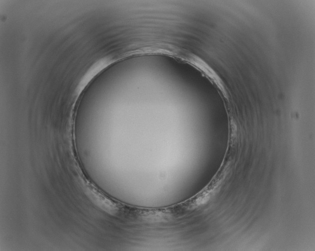 X0000077401002200611032022