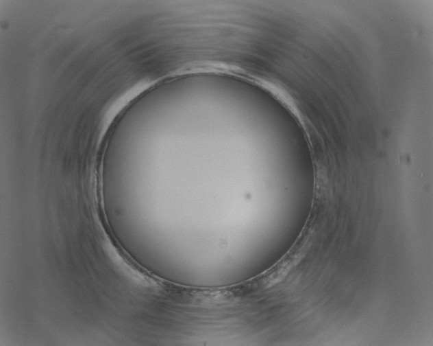 X0000077401003200611032022