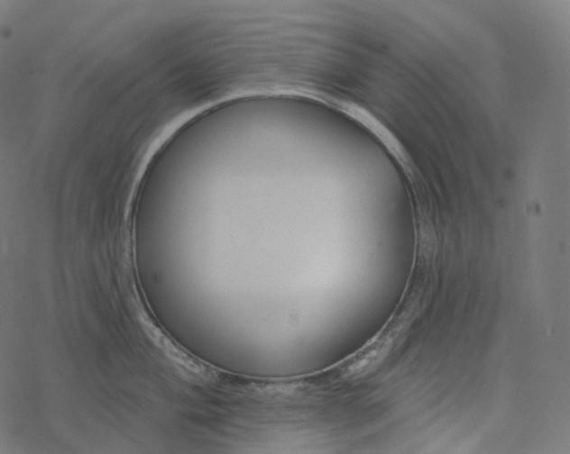 X0000077401004200611032022