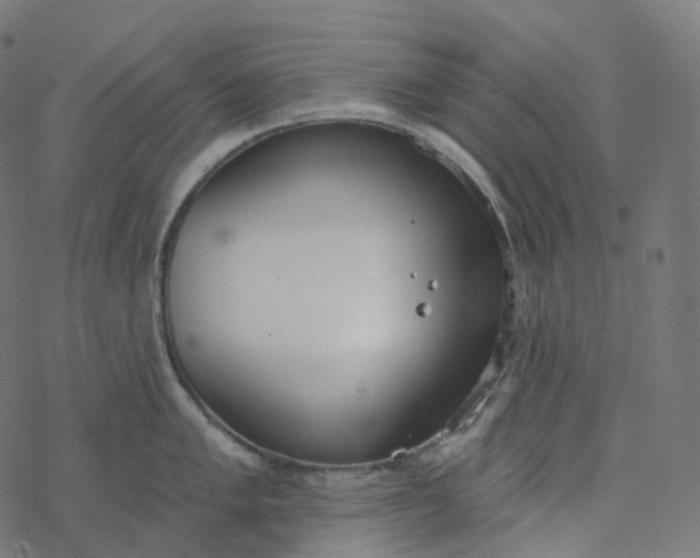 X0000077401005200611032022