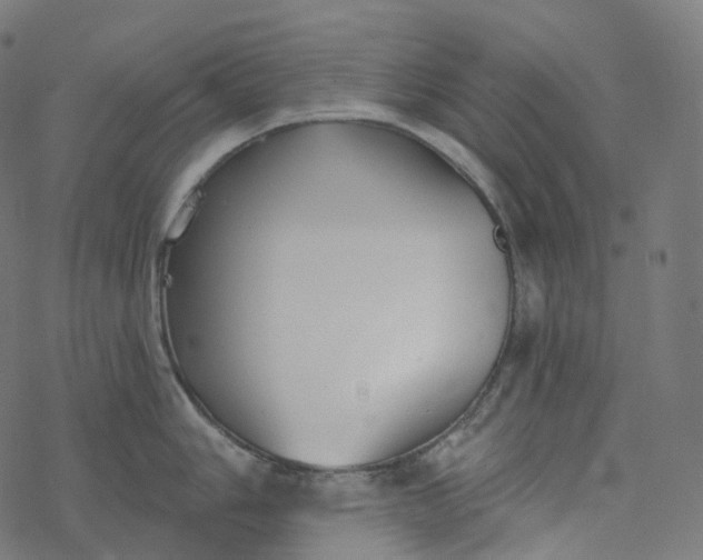 X0000077401006200611032022