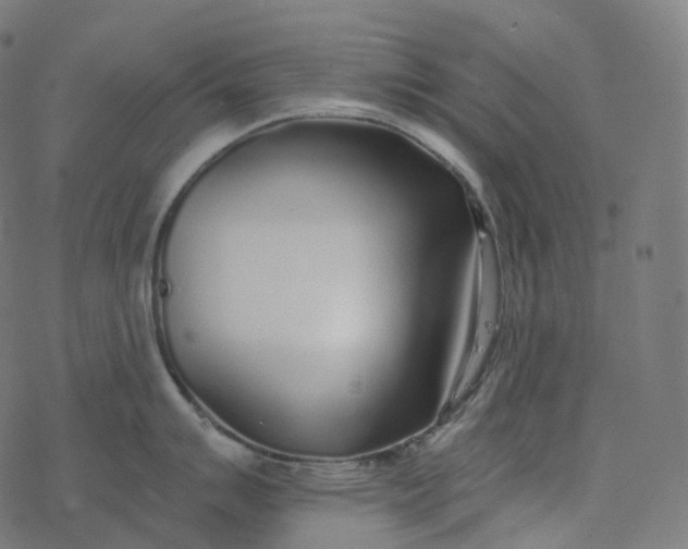 X0000077401007200611032022