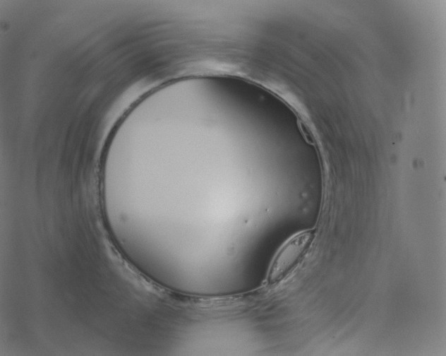 X0000077401008200611032022