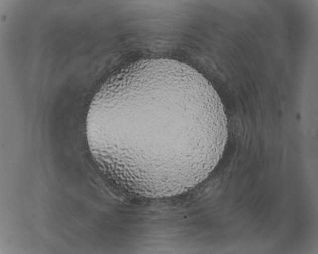 X0000077401009200611032021