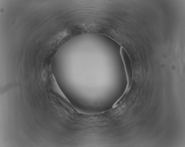 X0000077401010200611032021