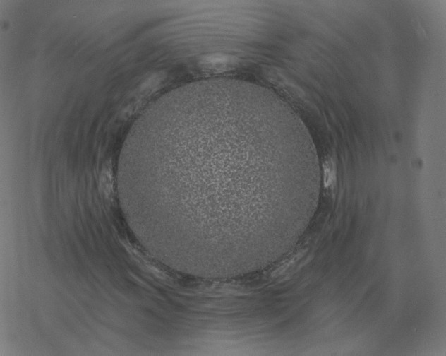 X0000077401011200611032021