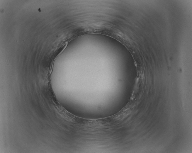 X0000077401012200611032021