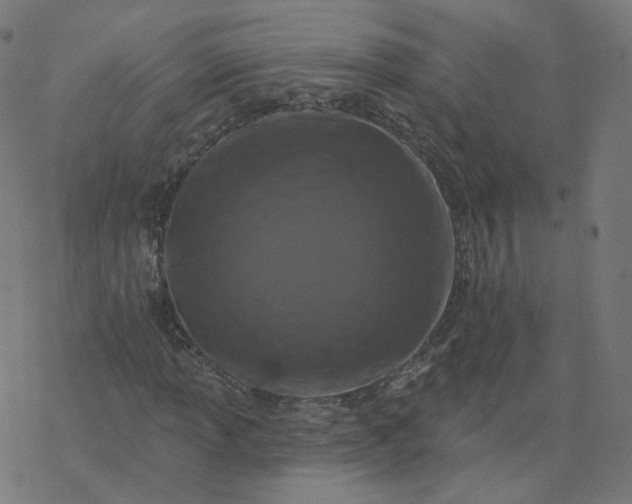 X0000077401013200611032021