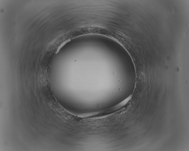 X0000077401014200611032021