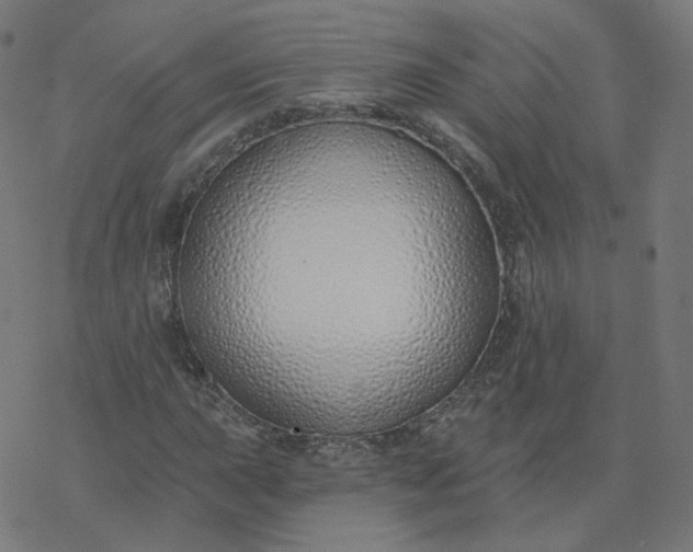 X0000077401015200611032021