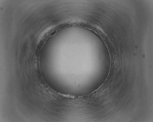 X0000077401016200611032021