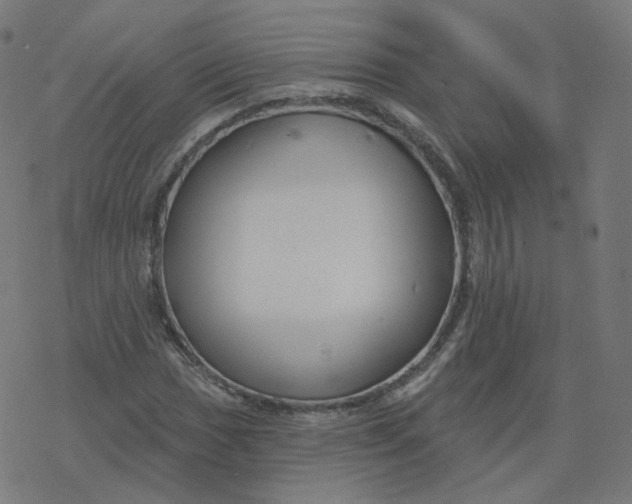 X0000077401017200611032021