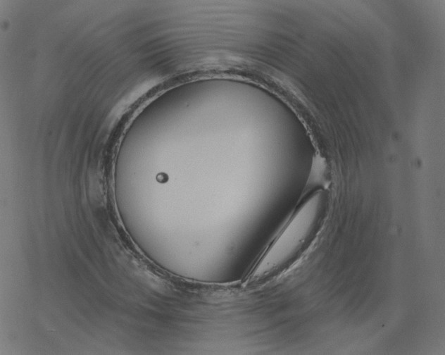 X0000077401018200611032021