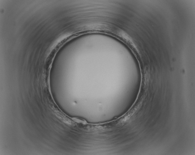 X0000077401019200611032021