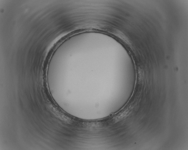 X0000077401020200611032021