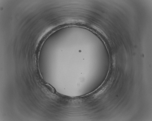 X0000077401021200611032021