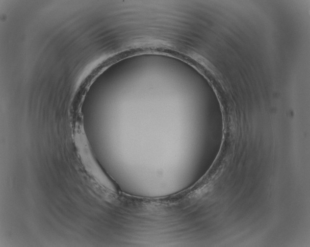 X0000077401022200611032021