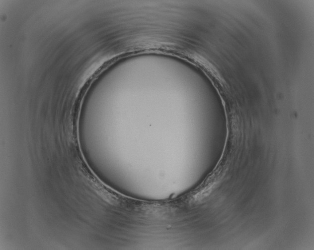 X0000077401023200611032021