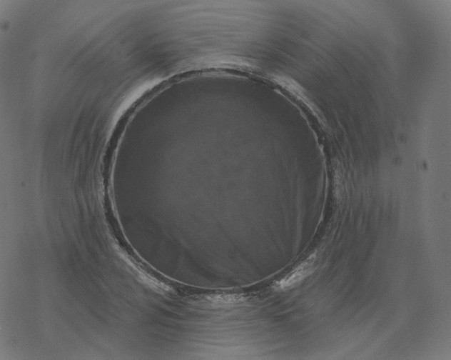 X0000077401024200611032021